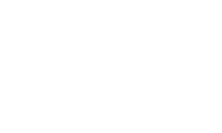 Turkey Step